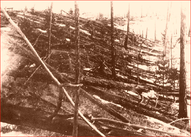 Tunguska 1930 [http://www.thunderbolts.info/tpod/2006/arch06/060202tunguska.htm]