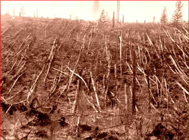 Tunguska 1930 [http://www.thunderbolts.info/tpod/2006/arch06/060203tunguska2.htm]